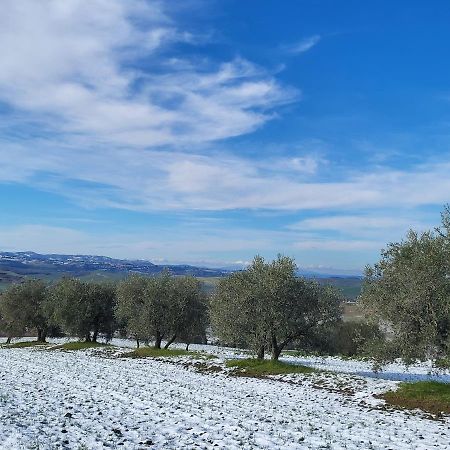 Dimora In Francigena Hotel San Quirico dʼOrcia Buitenkant foto