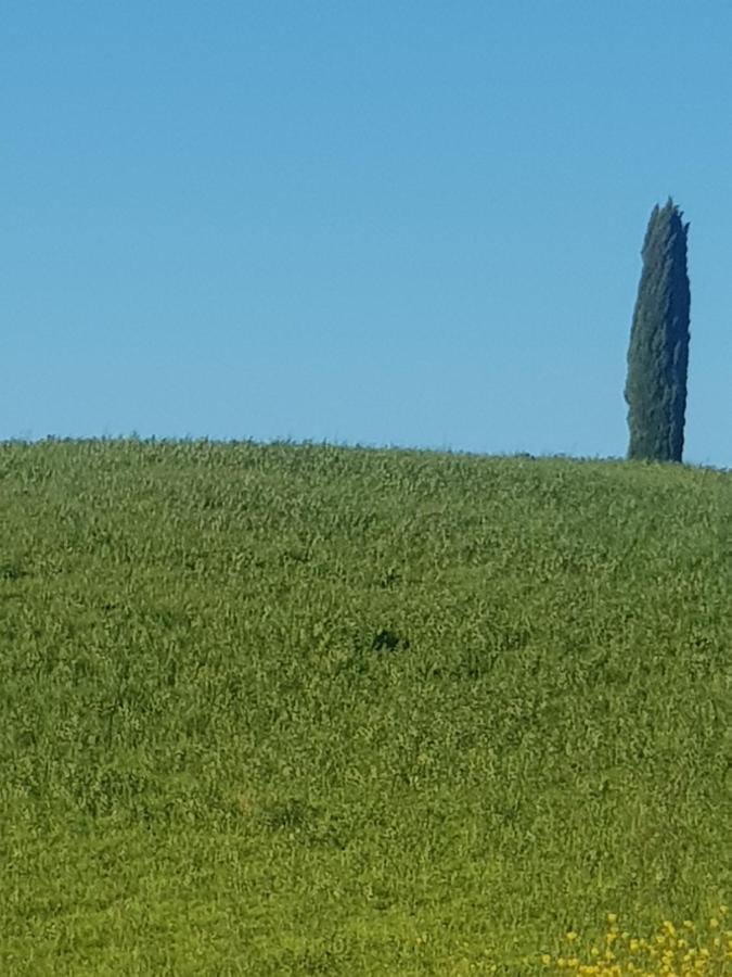 Dimora In Francigena Hotel San Quirico dʼOrcia Buitenkant foto