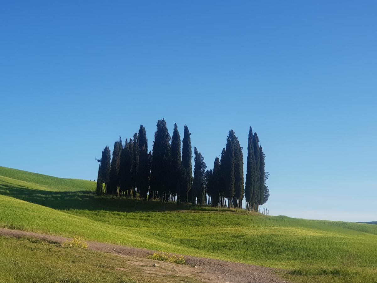 Dimora In Francigena Hotel San Quirico dʼOrcia Buitenkant foto
